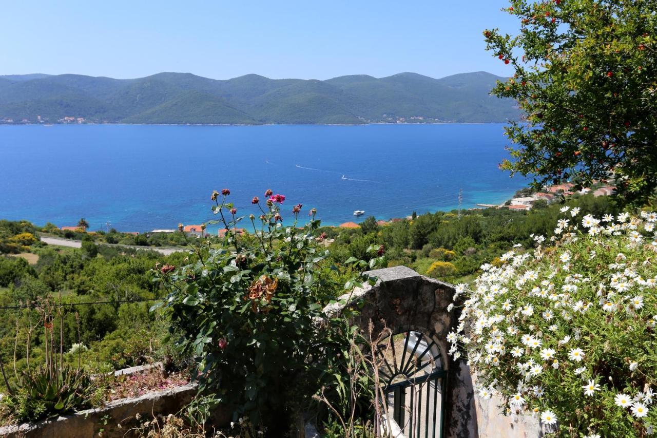 Holiday House With A Parking Space Viganj - Podac, Peljesac - 10141 Esterno foto